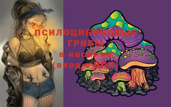 кокаин премиум Алексин
