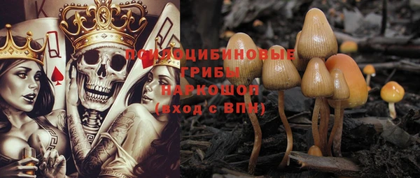 PSILOCYBIN Алексеевка