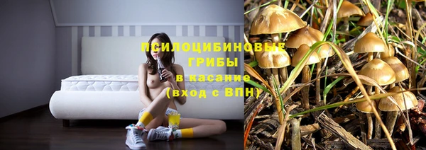 PSILOCYBIN Алексеевка