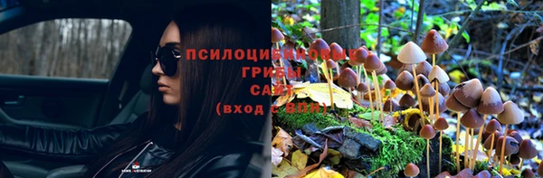 PSILOCYBIN Алексеевка