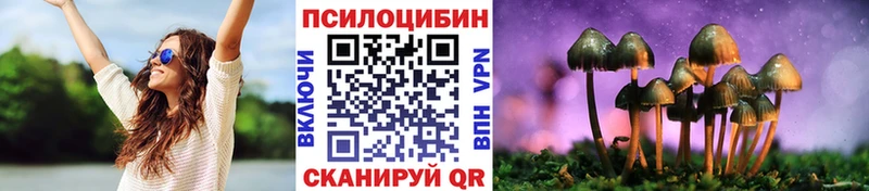 Галлюциногенные грибы Psilocybe Находка