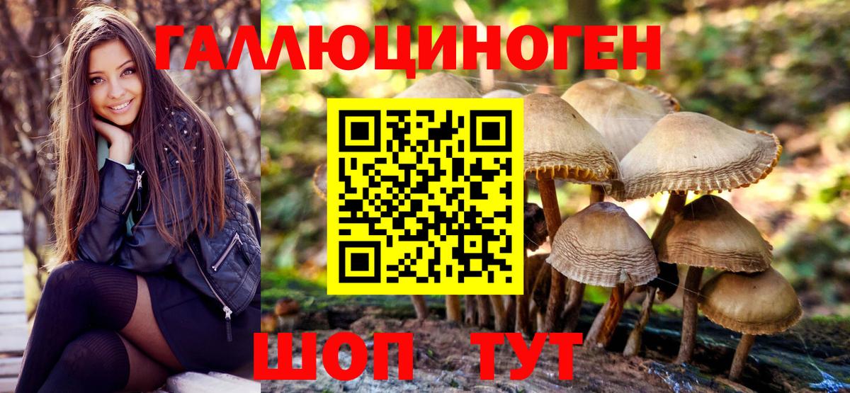 Псилоцибиновые грибы MAGIC MUSHROOMS  наркота  Находка  Вход с VPN 