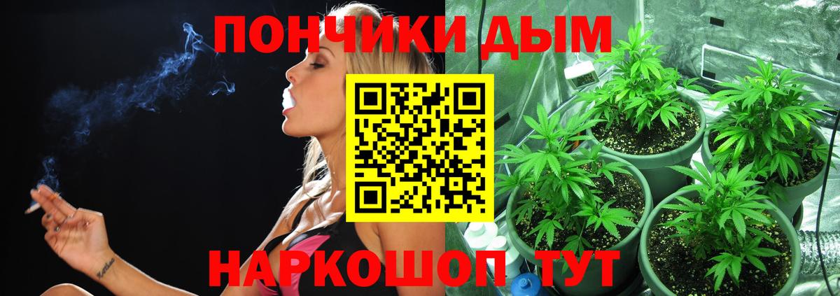 Бошки Шишки Bruce Banner  Марихуана AK-47  МАРИХУАНА Amnesia  Вход с VPN  Находка 